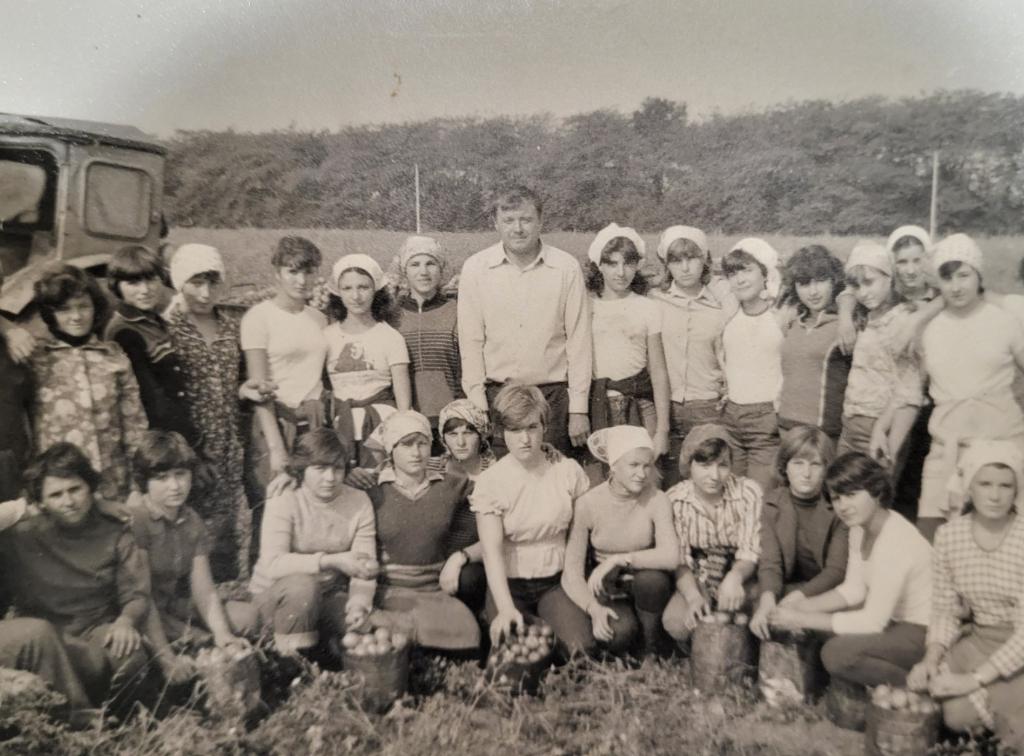 Studenți la muncă agricolă în perioada sovietică – culesul legumelor într-un sovhoz (1983)