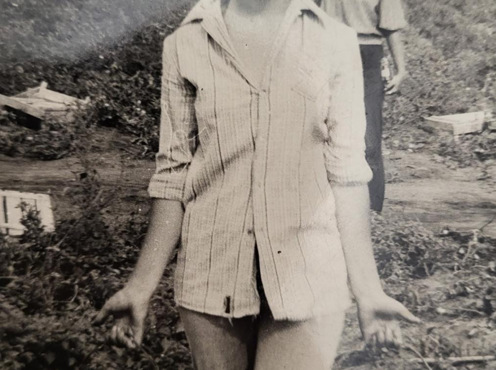 Studenți la muncă agricolă în perioada sovietică – culesul legumelor într-un sovhoz (1983)